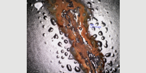 Red rust - a common problem